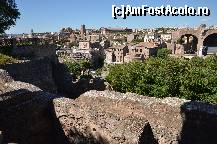 [P43] Forumul Roman vazut de pe Colina Palatina » foto by Muffin2009*
 - 
<span class="allrVoted glyphicon glyphicon-heart hidden" id="av325036"></span>
<a class="m-l-10 hidden" id="sv325036" onclick="voting_Foto_DelVot(,325036,3406)" role="button">șterge vot <span class="glyphicon glyphicon-remove"></span></a>
<a id="v9325036" class=" c-red"  onclick="voting_Foto_SetVot(325036)" role="button"><span class="glyphicon glyphicon-heart-empty"></span> <b>LIKE</b> = Votează poza</a> <img class="hidden"  id="f325036W9" src="/imagini/loader.gif" border="0" /><span class="AjErrMes hidden" id="e325036ErM"></span>
