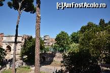 [P44] Colosseumul vazut de pe Colina Palatina » foto by Muffin2009*
 - 
<span class="allrVoted glyphicon glyphicon-heart hidden" id="av325037"></span>
<a class="m-l-10 hidden" id="sv325037" onclick="voting_Foto_DelVot(,325037,3406)" role="button">șterge vot <span class="glyphicon glyphicon-remove"></span></a>
<a id="v9325037" class=" c-red"  onclick="voting_Foto_SetVot(325037)" role="button"><span class="glyphicon glyphicon-heart-empty"></span> <b>LIKE</b> = Votează poza</a> <img class="hidden"  id="f325037W9" src="/imagini/loader.gif" border="0" /><span class="AjErrMes hidden" id="e325037ErM"></span>