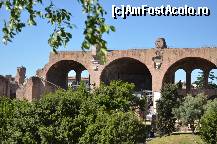[P46] Basilica lui Maxentius si Constantin » foto by Muffin2009*
 - 
<span class="allrVoted glyphicon glyphicon-heart hidden" id="av325039"></span>
<a class="m-l-10 hidden" id="sv325039" onclick="voting_Foto_DelVot(,325039,3406)" role="button">șterge vot <span class="glyphicon glyphicon-remove"></span></a>
<a id="v9325039" class=" c-red"  onclick="voting_Foto_SetVot(325039)" role="button"><span class="glyphicon glyphicon-heart-empty"></span> <b>LIKE</b> = Votează poza</a> <img class="hidden"  id="f325039W9" src="/imagini/loader.gif" border="0" /><span class="AjErrMes hidden" id="e325039ErM"></span>