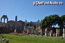 [P65] Gradina interioara din Casa Vestaleor » foto by Muffin2009*
 - 
<span class="allrVoted glyphicon glyphicon-heart hidden" id="av325060"></span>
<a class="m-l-10 hidden" id="sv325060" onclick="voting_Foto_DelVot(,325060,3406)" role="button">șterge vot <span class="glyphicon glyphicon-remove"></span></a>
<a id="v9325060" class=" c-red"  onclick="voting_Foto_SetVot(325060)" role="button"><span class="glyphicon glyphicon-heart-empty"></span> <b>LIKE</b> = Votează poza</a> <img class="hidden"  id="f325060W9" src="/imagini/loader.gif" border="0" /><span class="AjErrMes hidden" id="e325060ErM"></span>