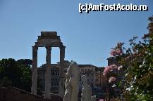 [P67] Templul lui Castor si Pollux si statuile fecioarelor din Casa Vestalelor » foto by Muffin2009*
 - 
<span class="allrVoted glyphicon glyphicon-heart hidden" id="av325064"></span>
<a class="m-l-10 hidden" id="sv325064" onclick="voting_Foto_DelVot(,325064,3406)" role="button">șterge vot <span class="glyphicon glyphicon-remove"></span></a>
<a id="v9325064" class=" c-red"  onclick="voting_Foto_SetVot(325064)" role="button"><span class="glyphicon glyphicon-heart-empty"></span> <b>LIKE</b> = Votează poza</a> <img class="hidden"  id="f325064W9" src="/imagini/loader.gif" border="0" /><span class="AjErrMes hidden" id="e325064ErM"></span>