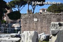 [P70] Basilica Emilia » foto by Muffin2009*
 - 
<span class="allrVoted glyphicon glyphicon-heart hidden" id="av325069"></span>
<a class="m-l-10 hidden" id="sv325069" onclick="voting_Foto_DelVot(,325069,3406)" role="button">șterge vot <span class="glyphicon glyphicon-remove"></span></a>
<a id="v9325069" class=" c-red"  onclick="voting_Foto_SetVot(325069)" role="button"><span class="glyphicon glyphicon-heart-empty"></span> <b>LIKE</b> = Votează poza</a> <img class="hidden"  id="f325069W9" src="/imagini/loader.gif" border="0" /><span class="AjErrMes hidden" id="e325069ErM"></span>