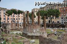 [P04] Largo di Torre Argentina » foto by Muffin2009*
 - 
<span class="allrVoted glyphicon glyphicon-heart hidden" id="av325622"></span>
<a class="m-l-10 hidden" id="sv325622" onclick="voting_Foto_DelVot(,325622,3406)" role="button">șterge vot <span class="glyphicon glyphicon-remove"></span></a>
<a id="v9325622" class=" c-red"  onclick="voting_Foto_SetVot(325622)" role="button"><span class="glyphicon glyphicon-heart-empty"></span> <b>LIKE</b> = Votează poza</a> <img class="hidden"  id="f325622W9" src="/imagini/loader.gif" border="0" /><span class="AjErrMes hidden" id="e325622ErM"></span>