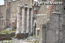 [P73] Forumul lui Augustus » foto by Muffin2009*
 - 
<span class="allrVoted glyphicon glyphicon-heart hidden" id="av325712"></span>
<a class="m-l-10 hidden" id="sv325712" onclick="voting_Foto_DelVot(,325712,3406)" role="button">șterge vot <span class="glyphicon glyphicon-remove"></span></a>
<a id="v9325712" class=" c-red"  onclick="voting_Foto_SetVot(325712)" role="button"><span class="glyphicon glyphicon-heart-empty"></span> <b>LIKE</b> = Votează poza</a> <img class="hidden"  id="f325712W9" src="/imagini/loader.gif" border="0" /><span class="AjErrMes hidden" id="e325712ErM"></span>