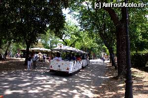 [P05] Puteti opta pentru un tur al parcului cu trenuletul » foto by Muffin2009*
 - 
<span class="allrVoted glyphicon glyphicon-heart hidden" id="av348791"></span>
<a class="m-l-10 hidden" id="sv348791" onclick="voting_Foto_DelVot(,348791,3406)" role="button">șterge vot <span class="glyphicon glyphicon-remove"></span></a>
<a id="v9348791" class=" c-red"  onclick="voting_Foto_SetVot(348791)" role="button"><span class="glyphicon glyphicon-heart-empty"></span> <b>LIKE</b> = Votează poza</a> <img class="hidden"  id="f348791W9" src="/imagini/loader.gif" border="0" /><span class="AjErrMes hidden" id="e348791ErM"></span>