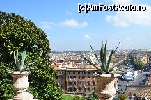 [P06]  -- <small>// FĂRĂ DESCRIERE</small> » foto by elenahelen
 - 
<span class="allrVoted glyphicon glyphicon-heart hidden" id="av377017"></span>
<a class="m-l-10 hidden" id="sv377017" onclick="voting_Foto_DelVot(,377017,3406)" role="button">șterge vot <span class="glyphicon glyphicon-remove"></span></a>
<a id="v9377017" class=" c-red"  onclick="voting_Foto_SetVot(377017)" role="button"><span class="glyphicon glyphicon-heart-empty"></span> <b>LIKE</b> = Votează poza</a> <img class="hidden"  id="f377017W9" src="/imagini/loader.gif" border="0" /><span class="AjErrMes hidden" id="e377017ErM"></span>