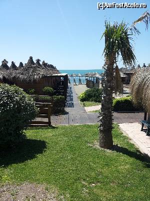 [P21] plaja Ostia » foto by sabooky
 - 
<span class="allrVoted glyphicon glyphicon-heart hidden" id="av584172"></span>
<a class="m-l-10 hidden" id="sv584172" onclick="voting_Foto_DelVot(,584172,3406)" role="button">șterge vot <span class="glyphicon glyphicon-remove"></span></a>
<a id="v9584172" class=" c-red"  onclick="voting_Foto_SetVot(584172)" role="button"><span class="glyphicon glyphicon-heart-empty"></span> <b>LIKE</b> = Votează poza</a> <img class="hidden"  id="f584172W9" src="/imagini/loader.gif" border="0" /><span class="AjErrMes hidden" id="e584172ErM"></span>