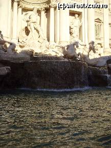 [P15]  -- <small>// FĂRĂ DESCRIERE</small> » foto by roxana.tomina
 - 
<span class="allrVoted glyphicon glyphicon-heart hidden" id="av330413"></span>
<a class="m-l-10 hidden" id="sv330413" onclick="voting_Foto_DelVot(,330413,3406)" role="button">șterge vot <span class="glyphicon glyphicon-remove"></span></a>
<a id="v9330413" class=" c-red"  onclick="voting_Foto_SetVot(330413)" role="button"><span class="glyphicon glyphicon-heart-empty"></span> <b>LIKE</b> = Votează poza</a> <img class="hidden"  id="f330413W9" src="/imagini/loader.gif" border="0" /><span class="AjErrMes hidden" id="e330413ErM"></span>