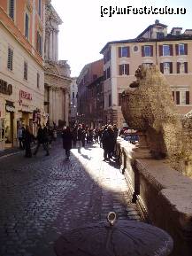 [P19]  -- <small>// FĂRĂ DESCRIERE</small> » foto by roxana.tomina
 - 
<span class="allrVoted glyphicon glyphicon-heart hidden" id="av330417"></span>
<a class="m-l-10 hidden" id="sv330417" onclick="voting_Foto_DelVot(,330417,3406)" role="button">șterge vot <span class="glyphicon glyphicon-remove"></span></a>
<a id="v9330417" class=" c-red"  onclick="voting_Foto_SetVot(330417)" role="button"><span class="glyphicon glyphicon-heart-empty"></span> <b>LIKE</b> = Votează poza</a> <img class="hidden"  id="f330417W9" src="/imagini/loader.gif" border="0" /><span class="AjErrMes hidden" id="e330417ErM"></span>