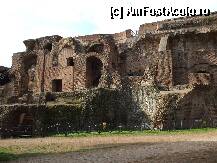 [P72] Dealul Palatin » foto by crima
 - 
<span class="allrVoted glyphicon glyphicon-heart hidden" id="av195690"></span>
<a class="m-l-10 hidden" id="sv195690" onclick="voting_Foto_DelVot(,195690,3406)" role="button">șterge vot <span class="glyphicon glyphicon-remove"></span></a>
<a id="v9195690" class=" c-red"  onclick="voting_Foto_SetVot(195690)" role="button"><span class="glyphicon glyphicon-heart-empty"></span> <b>LIKE</b> = Votează poza</a> <img class="hidden"  id="f195690W9" src="/imagini/loader.gif" border="0" /><span class="AjErrMes hidden" id="e195690ErM"></span>