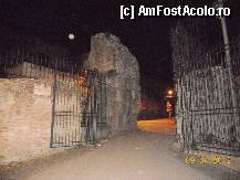 [P16] Italia - Roma - Colina Palatina noaptea » foto by Diaura*
 - 
<span class="allrVoted glyphicon glyphicon-heart hidden" id="av310408"></span>
<a class="m-l-10 hidden" id="sv310408" onclick="voting_Foto_DelVot(,310408,3406)" role="button">șterge vot <span class="glyphicon glyphicon-remove"></span></a>
<a id="v9310408" class=" c-red"  onclick="voting_Foto_SetVot(310408)" role="button"><span class="glyphicon glyphicon-heart-empty"></span> <b>LIKE</b> = Votează poza</a> <img class="hidden"  id="f310408W9" src="/imagini/loader.gif" border="0" /><span class="AjErrMes hidden" id="e310408ErM"></span>