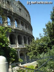 [P04] Italia - Roma - Colosseum ,unele portiuni au fost curatate » foto by Diaura*
 - 
<span class="allrVoted glyphicon glyphicon-heart hidden" id="av310384"></span>
<a class="m-l-10 hidden" id="sv310384" onclick="voting_Foto_DelVot(,310384,3406)" role="button">șterge vot <span class="glyphicon glyphicon-remove"></span></a>
<a id="v9310384" class=" c-red"  onclick="voting_Foto_SetVot(310384)" role="button"><span class="glyphicon glyphicon-heart-empty"></span> <b>LIKE</b> = Votează poza</a> <img class="hidden"  id="f310384W9" src="/imagini/loader.gif" border="0" /><span class="AjErrMes hidden" id="e310384ErM"></span>