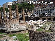[P22] Roma - Area Sacra di Largo Argentina. » foto by Diaura*
 - 
<span class="allrVoted glyphicon glyphicon-heart hidden" id="av311046"></span>
<a class="m-l-10 hidden" id="sv311046" onclick="voting_Foto_DelVot(,311046,3406)" role="button">șterge vot <span class="glyphicon glyphicon-remove"></span></a>
<a id="v9311046" class=" c-red"  onclick="voting_Foto_SetVot(311046)" role="button"><span class="glyphicon glyphicon-heart-empty"></span> <b>LIKE</b> = Votează poza</a> <img class="hidden"  id="f311046W9" src="/imagini/loader.gif" border="0" /><span class="AjErrMes hidden" id="e311046ErM"></span>