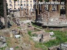 [P23] Roma - Roma - Area Sacra di Largo Argentina. » foto by Diaura*
 - 
<span class="allrVoted glyphicon glyphicon-heart hidden" id="av311047"></span>
<a class="m-l-10 hidden" id="sv311047" onclick="voting_Foto_DelVot(,311047,3406)" role="button">șterge vot <span class="glyphicon glyphicon-remove"></span></a>
<a id="v9311047" class=" c-red"  onclick="voting_Foto_SetVot(311047)" role="button"><span class="glyphicon glyphicon-heart-empty"></span> <b>LIKE</b> = Votează poza</a> <img class="hidden"  id="f311047W9" src="/imagini/loader.gif" border="0" /><span class="AjErrMes hidden" id="e311047ErM"></span>