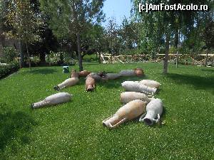 [P29] spre Aktium » foto by buterfly*
 - 
<span class="allrVoted glyphicon glyphicon-heart hidden" id="av558572"></span>
<a class="m-l-10 hidden" id="sv558572" onclick="voting_Foto_DelVot(,558572,3406)" role="button">șterge vot <span class="glyphicon glyphicon-remove"></span></a>
<a id="v9558572" class=" c-red"  onclick="voting_Foto_SetVot(558572)" role="button"><span class="glyphicon glyphicon-heart-empty"></span> <b>LIKE</b> = Votează poza</a> <img class="hidden"  id="f558572W9" src="/imagini/loader.gif" border="0" /><span class="AjErrMes hidden" id="e558572ErM"></span>