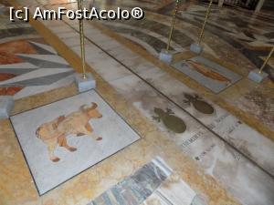 [P01]  -- <small>// FĂRĂ DESCRIERE</small> » foto by spirid72
 - 
<span class="allrVoted glyphicon glyphicon-heart hidden" id="av939760"></span>
<a class="m-l-10 hidden" id="sv939760" onclick="voting_Foto_DelVot(,939760,3406)" role="button">șterge vot <span class="glyphicon glyphicon-remove"></span></a>
<a id="v9939760" class=" c-red"  onclick="voting_Foto_SetVot(939760)" role="button"><span class="glyphicon glyphicon-heart-empty"></span> <b>LIKE</b> = Votează poza</a> <img class="hidden"  id="f939760W9" src="/imagini/loader.gif" border="0" /><span class="AjErrMes hidden" id="e939760ErM"></span>