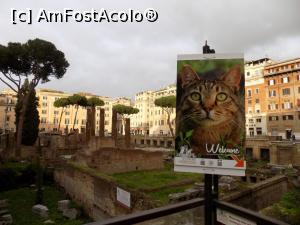 [P04]  -- <small>// FĂRĂ DESCRIERE</small> » foto by spirid72
 - 
<span class="allrVoted glyphicon glyphicon-heart hidden" id="av939773"></span>
<a class="m-l-10 hidden" id="sv939773" onclick="voting_Foto_DelVot(,939773,3406)" role="button">șterge vot <span class="glyphicon glyphicon-remove"></span></a>
<a id="v9939773" class=" c-red"  onclick="voting_Foto_SetVot(939773)" role="button"><span class="glyphicon glyphicon-heart-empty"></span> <b>LIKE</b> = Votează poza</a> <img class="hidden"  id="f939773W9" src="/imagini/loader.gif" border="0" /><span class="AjErrMes hidden" id="e939773ErM"></span>