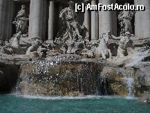 [P31] Creaturile mitice ale marii » foto by Cristina67
 - 
<span class="allrVoted glyphicon glyphicon-heart hidden" id="av192177"></span>
<a class="m-l-10 hidden" id="sv192177" onclick="voting_Foto_DelVot(,192177,3406)" role="button">șterge vot <span class="glyphicon glyphicon-remove"></span></a>
<a id="v9192177" class=" c-red"  onclick="voting_Foto_SetVot(192177)" role="button"><span class="glyphicon glyphicon-heart-empty"></span> <b>LIKE</b> = Votează poza</a> <img class="hidden"  id="f192177W9" src="/imagini/loader.gif" border="0" /><span class="AjErrMes hidden" id="e192177ErM"></span>