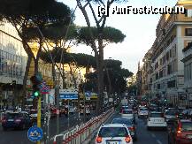 [P51] Traficul in Roma » foto by Cristina67
 - 
<span class="allrVoted glyphicon glyphicon-heart hidden" id="av192197"></span>
<a class="m-l-10 hidden" id="sv192197" onclick="voting_Foto_DelVot(,192197,3406)" role="button">șterge vot <span class="glyphicon glyphicon-remove"></span></a>
<a id="v9192197" class=" c-red"  onclick="voting_Foto_SetVot(192197)" role="button"><span class="glyphicon glyphicon-heart-empty"></span> <b>LIKE</b> = Votează poza</a> <img class="hidden"  id="f192197W9" src="/imagini/loader.gif" border="0" /><span class="AjErrMes hidden" id="e192197ErM"></span>