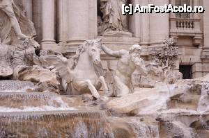 [P08] Fontana di Trevi » foto by cdiana
 - 
<span class="allrVoted glyphicon glyphicon-heart hidden" id="av434326"></span>
<a class="m-l-10 hidden" id="sv434326" onclick="voting_Foto_DelVot(,434326,3406)" role="button">șterge vot <span class="glyphicon glyphicon-remove"></span></a>
<a id="v9434326" class=" c-red"  onclick="voting_Foto_SetVot(434326)" role="button"><span class="glyphicon glyphicon-heart-empty"></span> <b>LIKE</b> = Votează poza</a> <img class="hidden"  id="f434326W9" src="/imagini/loader.gif" border="0" /><span class="AjErrMes hidden" id="e434326ErM"></span>