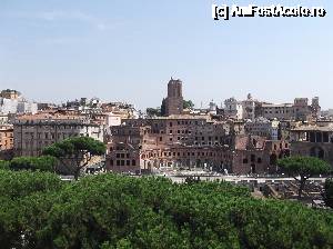 [P14]  -- <small>// FĂRĂ DESCRIERE</small> » foto by balasa violeta
 - 
<span class="allrVoted glyphicon glyphicon-heart hidden" id="av694683"></span>
<a class="m-l-10 hidden" id="sv694683" onclick="voting_Foto_DelVot(,694683,3406)" role="button">șterge vot <span class="glyphicon glyphicon-remove"></span></a>
<a id="v9694683" class=" c-red"  onclick="voting_Foto_SetVot(694683)" role="button"><span class="glyphicon glyphicon-heart-empty"></span> <b>LIKE</b> = Votează poza</a> <img class="hidden"  id="f694683W9" src="/imagini/loader.gif" border="0" /><span class="AjErrMes hidden" id="e694683ErM"></span>