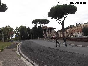 [P61] Pe strazi!  » foto by balasa violeta
 - 
<span class="allrVoted glyphicon glyphicon-heart hidden" id="av694730"></span>
<a class="m-l-10 hidden" id="sv694730" onclick="voting_Foto_DelVot(,694730,3406)" role="button">șterge vot <span class="glyphicon glyphicon-remove"></span></a>
<a id="v9694730" class=" c-red"  onclick="voting_Foto_SetVot(694730)" role="button"><span class="glyphicon glyphicon-heart-empty"></span> <b>LIKE</b> = Votează poza</a> <img class="hidden"  id="f694730W9" src="/imagini/loader.gif" border="0" /><span class="AjErrMes hidden" id="e694730ErM"></span>