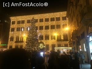 [P20] Bradul Valentino » foto by dana67
 - 
<span class="allrVoted glyphicon glyphicon-heart hidden" id="av818529"></span>
<a class="m-l-10 hidden" id="sv818529" onclick="voting_Foto_DelVot(,818529,3406)" role="button">șterge vot <span class="glyphicon glyphicon-remove"></span></a>
<a id="v9818529" class=" c-red"  onclick="voting_Foto_SetVot(818529)" role="button"><span class="glyphicon glyphicon-heart-empty"></span> <b>LIKE</b> = Votează poza</a> <img class="hidden"  id="f818529W9" src="/imagini/loader.gif" border="0" /><span class="AjErrMes hidden" id="e818529ErM"></span>