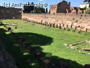 [P45] Zona Coloseum » foto by cilie
 - 
<span class="allrVoted glyphicon glyphicon-heart hidden" id="av729979"></span>
<a class="m-l-10 hidden" id="sv729979" onclick="voting_Foto_DelVot(,729979,3406)" role="button">șterge vot <span class="glyphicon glyphicon-remove"></span></a>
<a id="v9729979" class=" c-red"  onclick="voting_Foto_SetVot(729979)" role="button"><span class="glyphicon glyphicon-heart-empty"></span> <b>LIKE</b> = Votează poza</a> <img class="hidden"  id="f729979W9" src="/imagini/loader.gif" border="0" /><span class="AjErrMes hidden" id="e729979ErM"></span>