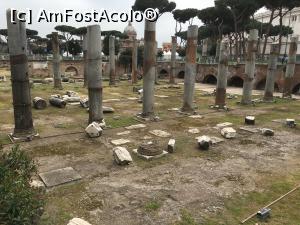 [P06] vestigii » foto by cilie
 - 
<span class="allrVoted glyphicon glyphicon-heart hidden" id="av729941"></span>
<a class="m-l-10 hidden" id="sv729941" onclick="voting_Foto_DelVot(,729941,3406)" role="button">șterge vot <span class="glyphicon glyphicon-remove"></span></a>
<a id="v9729941" class=" c-red"  onclick="voting_Foto_SetVot(729941)" role="button"><span class="glyphicon glyphicon-heart-empty"></span> <b>LIKE</b> = Votează poza</a> <img class="hidden"  id="f729941W9" src="/imagini/loader.gif" border="0" /><span class="AjErrMes hidden" id="e729941ErM"></span>