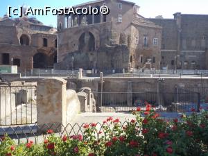 [P10]  -- <small>// FĂRĂ DESCRIERE</small> » foto by mogly
 - 
<span class="allrVoted glyphicon glyphicon-heart hidden" id="av778588"></span>
<a class="m-l-10 hidden" id="sv778588" onclick="voting_Foto_DelVot(,778588,3406)" role="button">șterge vot <span class="glyphicon glyphicon-remove"></span></a>
<a id="v9778588" class=" c-red"  onclick="voting_Foto_SetVot(778588)" role="button"><span class="glyphicon glyphicon-heart-empty"></span> <b>LIKE</b> = Votează poza</a> <img class="hidden"  id="f778588W9" src="/imagini/loader.gif" border="0" /><span class="AjErrMes hidden" id="e778588ErM"></span>