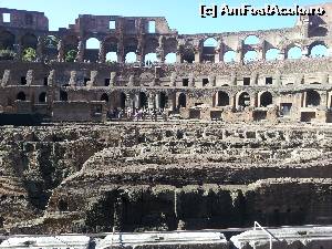[P13] Coloseum » foto by cdg_003
 - 
<span class="allrVoted glyphicon glyphicon-heart hidden" id="av554509"></span>
<a class="m-l-10 hidden" id="sv554509" onclick="voting_Foto_DelVot(,554509,3406)" role="button">șterge vot <span class="glyphicon glyphicon-remove"></span></a>
<a id="v9554509" class=" c-red"  onclick="voting_Foto_SetVot(554509)" role="button"><span class="glyphicon glyphicon-heart-empty"></span> <b>LIKE</b> = Votează poza</a> <img class="hidden"  id="f554509W9" src="/imagini/loader.gif" border="0" /><span class="AjErrMes hidden" id="e554509ErM"></span>