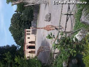 [P150]  -- <small>// FĂRĂ DESCRIERE</small> » foto by cdg_003
 - 
<span class="allrVoted glyphicon glyphicon-heart hidden" id="av555033"></span>
<a class="m-l-10 hidden" id="sv555033" onclick="voting_Foto_DelVot(,555033,3406)" role="button">șterge vot <span class="glyphicon glyphicon-remove"></span></a>
<a id="v9555033" class=" c-red"  onclick="voting_Foto_SetVot(555033)" role="button"><span class="glyphicon glyphicon-heart-empty"></span> <b>LIKE</b> = Votează poza</a> <img class="hidden"  id="f555033W9" src="/imagini/loader.gif" border="0" /><span class="AjErrMes hidden" id="e555033ErM"></span>