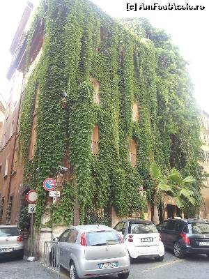 [P228]  -- <small>// FĂRĂ DESCRIERE</small> » foto by cdg_003
 - 
<span class="allrVoted glyphicon glyphicon-heart hidden" id="av555125"></span>
<a class="m-l-10 hidden" id="sv555125" onclick="voting_Foto_DelVot(,555125,3406)" role="button">șterge vot <span class="glyphicon glyphicon-remove"></span></a>
<a id="v9555125" class=" c-red"  onclick="voting_Foto_SetVot(555125)" role="button"><span class="glyphicon glyphicon-heart-empty"></span> <b>LIKE</b> = Votează poza</a> <img class="hidden"  id="f555125W9" src="/imagini/loader.gif" border="0" /><span class="AjErrMes hidden" id="e555125ErM"></span>