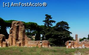 [P12] Palatin » foto by Radu Tudoran
 - 
<span class="allrVoted glyphicon glyphicon-heart hidden" id="av713529"></span>
<a class="m-l-10 hidden" id="sv713529" onclick="voting_Foto_DelVot(,713529,3406)" role="button">șterge vot <span class="glyphicon glyphicon-remove"></span></a>
<a id="v9713529" class=" c-red"  onclick="voting_Foto_SetVot(713529)" role="button"><span class="glyphicon glyphicon-heart-empty"></span> <b>LIKE</b> = Votează poza</a> <img class="hidden"  id="f713529W9" src="/imagini/loader.gif" border="0" /><span class="AjErrMes hidden" id="e713529ErM"></span>