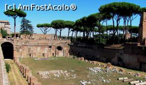 [P14] Palatin » foto by Radu Tudoran
 - 
<span class="allrVoted glyphicon glyphicon-heart hidden" id="av713531"></span>
<a class="m-l-10 hidden" id="sv713531" onclick="voting_Foto_DelVot(,713531,3406)" role="button">șterge vot <span class="glyphicon glyphicon-remove"></span></a>
<a id="v9713531" class=" c-red"  onclick="voting_Foto_SetVot(713531)" role="button"><span class="glyphicon glyphicon-heart-empty"></span> <b>LIKE</b> = Votează poza</a> <img class="hidden"  id="f713531W9" src="/imagini/loader.gif" border="0" /><span class="AjErrMes hidden" id="e713531ErM"></span>