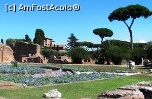 [P16] Palatin » foto by Radu Tudoran
 - 
<span class="allrVoted glyphicon glyphicon-heart hidden" id="av713533"></span>
<a class="m-l-10 hidden" id="sv713533" onclick="voting_Foto_DelVot(,713533,3406)" role="button">șterge vot <span class="glyphicon glyphicon-remove"></span></a>
<a id="v9713533" class=" c-red"  onclick="voting_Foto_SetVot(713533)" role="button"><span class="glyphicon glyphicon-heart-empty"></span> <b>LIKE</b> = Votează poza</a> <img class="hidden"  id="f713533W9" src="/imagini/loader.gif" border="0" /><span class="AjErrMes hidden" id="e713533ErM"></span>