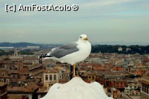 [P13]  -- <small>// FĂRĂ DESCRIERE</small> » foto by alina1104
 - 
<span class="allrVoted glyphicon glyphicon-heart hidden" id="av717828"></span>
<a class="m-l-10 hidden" id="sv717828" onclick="voting_Foto_DelVot(,717828,3406)" role="button">șterge vot <span class="glyphicon glyphicon-remove"></span></a>
<a id="v9717828" class=" c-red"  onclick="voting_Foto_SetVot(717828)" role="button"><span class="glyphicon glyphicon-heart-empty"></span> <b>LIKE</b> = Votează poza</a> <img class="hidden"  id="f717828W9" src="/imagini/loader.gif" border="0" /><span class="AjErrMes hidden" id="e717828ErM"></span>