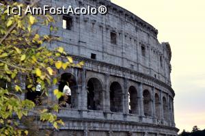 [P26]  -- <small>// FĂRĂ DESCRIERE</small> » foto by alina1104
 - 
<span class="allrVoted glyphicon glyphicon-heart hidden" id="av717841"></span>
<a class="m-l-10 hidden" id="sv717841" onclick="voting_Foto_DelVot(,717841,3406)" role="button">șterge vot <span class="glyphicon glyphicon-remove"></span></a>
<a id="v9717841" class=" c-red"  onclick="voting_Foto_SetVot(717841)" role="button"><span class="glyphicon glyphicon-heart-empty"></span> <b>LIKE</b> = Votează poza</a> <img class="hidden"  id="f717841W9" src="/imagini/loader.gif" border="0" /><span class="AjErrMes hidden" id="e717841ErM"></span>