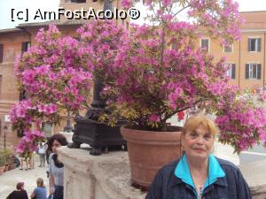 [P11] 11. Florile ce înfrumusețează Piața Spaniei.  » foto by doinafil
 - 
<span class="allrVoted glyphicon glyphicon-heart hidden" id="av881181"></span>
<a class="m-l-10 hidden" id="sv881181" onclick="voting_Foto_DelVot(,881181,3406)" role="button">șterge vot <span class="glyphicon glyphicon-remove"></span></a>
<a id="v9881181" class=" c-red"  onclick="voting_Foto_SetVot(881181)" role="button"><span class="glyphicon glyphicon-heart-empty"></span> <b>LIKE</b> = Votează poza</a> <img class="hidden"  id="f881181W9" src="/imagini/loader.gif" border="0" /><span class="AjErrMes hidden" id="e881181ErM"></span>