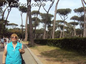 [P18] 17. Pomi și alee, spre Vila Borghese.  » foto by doinafil
 - 
<span class="allrVoted glyphicon glyphicon-heart hidden" id="av881188"></span>
<a class="m-l-10 hidden" id="sv881188" onclick="voting_Foto_DelVot(,881188,3406)" role="button">șterge vot <span class="glyphicon glyphicon-remove"></span></a>
<a id="v9881188" class=" c-red"  onclick="voting_Foto_SetVot(881188)" role="button"><span class="glyphicon glyphicon-heart-empty"></span> <b>LIKE</b> = Votează poza</a> <img class="hidden"  id="f881188W9" src="/imagini/loader.gif" border="0" /><span class="AjErrMes hidden" id="e881188ErM"></span>