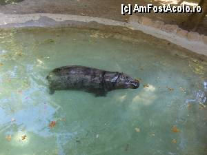 [P09]  -- <small>// FĂRĂ DESCRIERE</small> » foto by iorgulescua
 - 
<span class="allrVoted glyphicon glyphicon-heart hidden" id="av348973"></span>
<a class="m-l-10 hidden" id="sv348973" onclick="voting_Foto_DelVot(,348973,3406)" role="button">șterge vot <span class="glyphicon glyphicon-remove"></span></a>
<a id="v9348973" class=" c-red"  onclick="voting_Foto_SetVot(348973)" role="button"><span class="glyphicon glyphicon-heart-empty"></span> <b>LIKE</b> = Votează poza</a> <img class="hidden"  id="f348973W9" src="/imagini/loader.gif" border="0" /><span class="AjErrMes hidden" id="e348973ErM"></span>