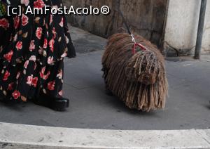 [P16] Mop » foto by andreea2995
 - 
<span class="allrVoted glyphicon glyphicon-heart hidden" id="av809200"></span>
<a class="m-l-10 hidden" id="sv809200" onclick="voting_Foto_DelVot(,809200,3406)" role="button">șterge vot <span class="glyphicon glyphicon-remove"></span></a>
<a id="v9809200" class=" c-red"  onclick="voting_Foto_SetVot(809200)" role="button"><span class="glyphicon glyphicon-heart-empty"></span> <b>LIKE</b> = Votează poza</a> <img class="hidden"  id="f809200W9" src="/imagini/loader.gif" border="0" /><span class="AjErrMes hidden" id="e809200ErM"></span>