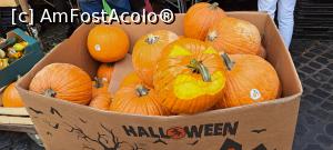 [P28] Campo de&rsquo; Fiori, culori » foto by irinad
 - 
<span class="allrVoted glyphicon glyphicon-heart hidden" id="av1383983"></span>
<a class="m-l-10 hidden" id="sv1383983" onclick="voting_Foto_DelVot(,1383983,3406)" role="button">șterge vot <span class="glyphicon glyphicon-remove"></span></a>
<a id="v91383983" class=" c-red"  onclick="voting_Foto_SetVot(1383983)" role="button"><span class="glyphicon glyphicon-heart-empty"></span> <b>LIKE</b> = Votează poza</a> <img class="hidden"  id="f1383983W9" src="/imagini/loader.gif" border="0" /><span class="AjErrMes hidden" id="e1383983ErM"></span>