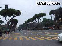 [P30] Copacii aceia semanau cu niste ciuperci » foto by AndreeaSava*
 - 
<span class="allrVoted glyphicon glyphicon-heart hidden" id="av190785"></span>
<a class="m-l-10 hidden" id="sv190785" onclick="voting_Foto_DelVot(,190785,3406)" role="button">șterge vot <span class="glyphicon glyphicon-remove"></span></a>
<a id="v9190785" class=" c-red"  onclick="voting_Foto_SetVot(190785)" role="button"><span class="glyphicon glyphicon-heart-empty"></span> <b>LIKE</b> = Votează poza</a> <img class="hidden"  id="f190785W9" src="/imagini/loader.gif" border="0" /><span class="AjErrMes hidden" id="e190785ErM"></span>