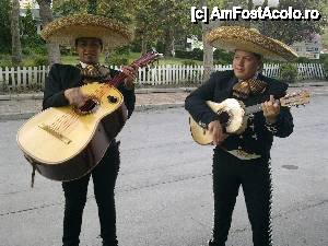 [P02] Seri mexicane cu o trupa minunata de mariachi din Ciudad de Mexico in Albena la restaurantul mexican » foto by Ioana Corches*
 - 
<span class="allrVoted glyphicon glyphicon-heart hidden" id="av428751"></span>
<a class="m-l-10 hidden" id="sv428751" onclick="voting_Foto_DelVot(,428751,3407)" role="button">șterge vot <span class="glyphicon glyphicon-remove"></span></a>
<a id="v9428751" class=" c-red"  onclick="voting_Foto_SetVot(428751)" role="button"><span class="glyphicon glyphicon-heart-empty"></span> <b>LIKE</b> = Votează poza</a> <img class="hidden"  id="f428751W9" src="/imagini/loader.gif" border="0" /><span class="AjErrMes hidden" id="e428751ErM"></span>