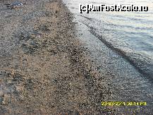 [P43] plaja la Rachoni Bay » foto by adryana
 - 
<span class="allrVoted glyphicon glyphicon-heart hidden" id="av227176"></span>
<a class="m-l-10 hidden" id="sv227176" onclick="voting_Foto_DelVot(,227176,3408)" role="button">șterge vot <span class="glyphicon glyphicon-remove"></span></a>
<a id="v9227176" class=" c-red"  onclick="voting_Foto_SetVot(227176)" role="button"><span class="glyphicon glyphicon-heart-empty"></span> <b>LIKE</b> = Votează poza</a> <img class="hidden"  id="f227176W9" src="/imagini/loader.gif" border="0" /><span class="AjErrMes hidden" id="e227176ErM"></span>