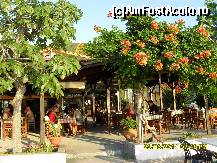 [P48] taverna Gorgona de langa noi » foto by adryana
 - 
<span class="allrVoted glyphicon glyphicon-heart hidden" id="av227187"></span>
<a class="m-l-10 hidden" id="sv227187" onclick="voting_Foto_DelVot(,227187,3408)" role="button">șterge vot <span class="glyphicon glyphicon-remove"></span></a>
<a id="v9227187" class=" c-red"  onclick="voting_Foto_SetVot(227187)" role="button"><span class="glyphicon glyphicon-heart-empty"></span> <b>LIKE</b> = Votează poza</a> <img class="hidden"  id="f227187W9" src="/imagini/loader.gif" border="0" /><span class="AjErrMes hidden" id="e227187ErM"></span>