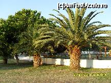 [P59] un loc de joaca pentru copii, aflat langa biserica aceea frumoasa » foto by adryana
 - 
<span class="allrVoted glyphicon glyphicon-heart hidden" id="av227203"></span>
<a class="m-l-10 hidden" id="sv227203" onclick="voting_Foto_DelVot(,227203,3408)" role="button">șterge vot <span class="glyphicon glyphicon-remove"></span></a>
<a id="v9227203" class=" c-red"  onclick="voting_Foto_SetVot(227203)" role="button"><span class="glyphicon glyphicon-heart-empty"></span> <b>LIKE</b> = Votează poza</a> <img class="hidden"  id="f227203W9" src="/imagini/loader.gif" border="0" /><span class="AjErrMes hidden" id="e227203ErM"></span>