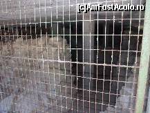 [P03] Scala sotiros, situl preistoric. atat cat a mai ramas din el. stalpii si planseul de  beton au fost turnate pentru ca deasupra a fost ridicata o biserica crestina » foto by recul*
 - 
<span class="allrVoted glyphicon glyphicon-heart hidden" id="av123815"></span>
<a class="m-l-10 hidden" id="sv123815" onclick="voting_Foto_DelVot(,123815,3408)" role="button">șterge vot <span class="glyphicon glyphicon-remove"></span></a>
<a id="v9123815" class=" c-red"  onclick="voting_Foto_SetVot(123815)" role="button"><span class="glyphicon glyphicon-heart-empty"></span> <b>LIKE</b> = Votează poza</a> <img class="hidden"  id="f123815W9" src="/imagini/loader.gif" border="0" /><span class="AjErrMes hidden" id="e123815ErM"></span>