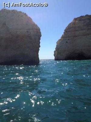 [P01]  -- <small>// FĂRĂ DESCRIERE</small> » foto by timaritza
 - 
<span class="allrVoted glyphicon glyphicon-heart hidden" id="av813248"></span>
<a class="m-l-10 hidden" id="sv813248" onclick="voting_Foto_DelVot(,813248,3414)" role="button">șterge vot <span class="glyphicon glyphicon-remove"></span></a>
<a id="v9813248" class=" c-red"  onclick="voting_Foto_SetVot(813248)" role="button"><span class="glyphicon glyphicon-heart-empty"></span> <b>LIKE</b> = Votează poza</a> <img class="hidden"  id="f813248W9" src="/imagini/loader.gif" border="0" /><span class="AjErrMes hidden" id="e813248ErM"></span>